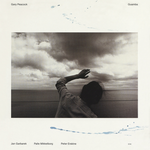 国产成人a视频高清在线观看
